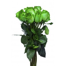 Blooming Green - 6 Stems Bouquet